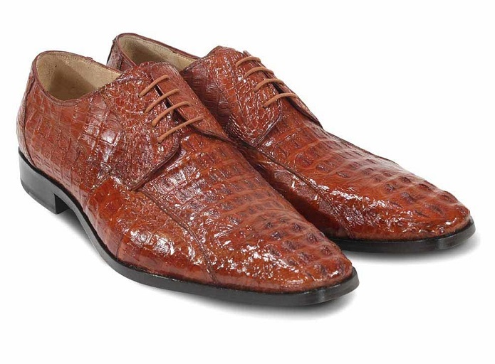 shoes crocodile leather